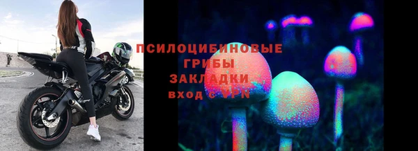 гидропоника Богородск