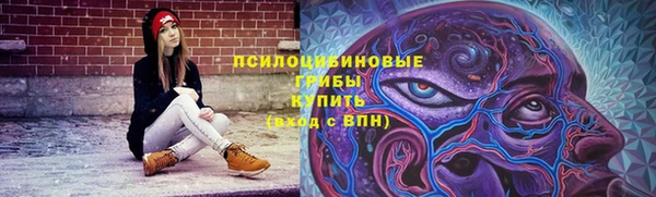 гидропоника Богданович