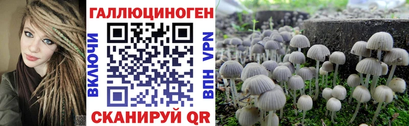 дарк нет состав  Сочи  Галлюциногенные грибы мухоморы 